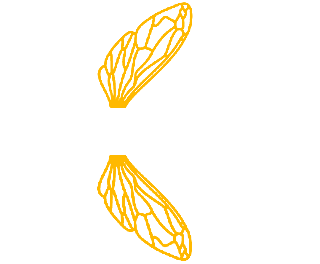 thesocialbeedia.com